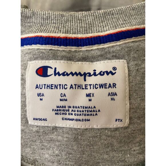 New! Champion Grey Long Sleeve Pullover Sweater, Size Medium, NWT - Picture 4 of 6